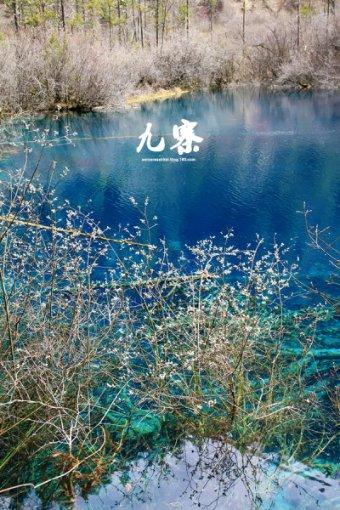密室逃脱3之办公大厦