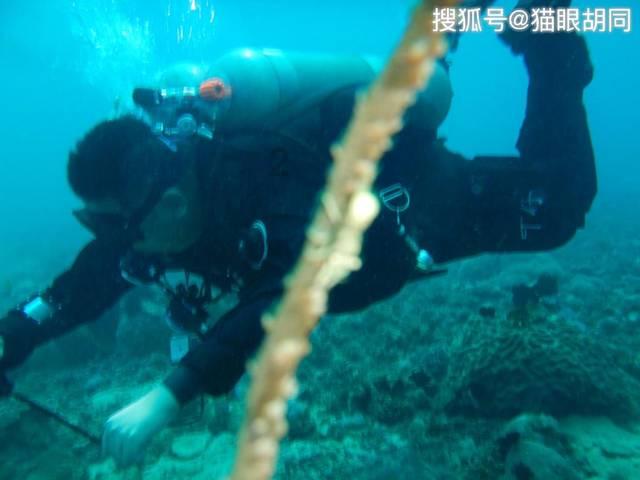 俊明的解释游戏画面